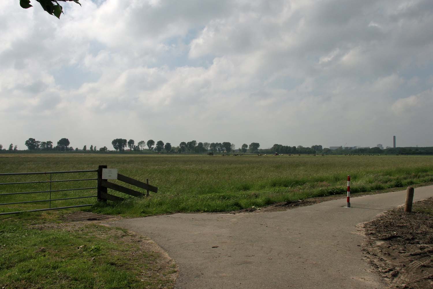 Fietspad naast de snelweg A13; zicht over de polder met in de verte de Rotterdamseweg