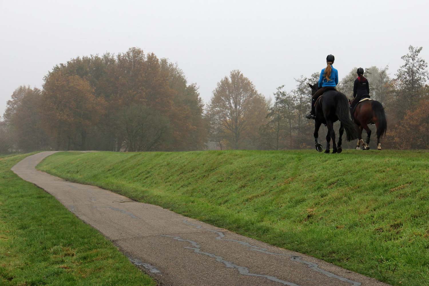 Paardensport in Midden-Delfland - Ruiterpaden